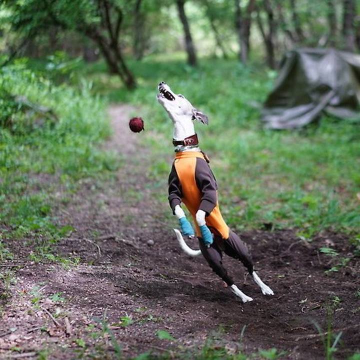 D874018a 0240 4663 b233 93136cdfa8e6 1532520550120