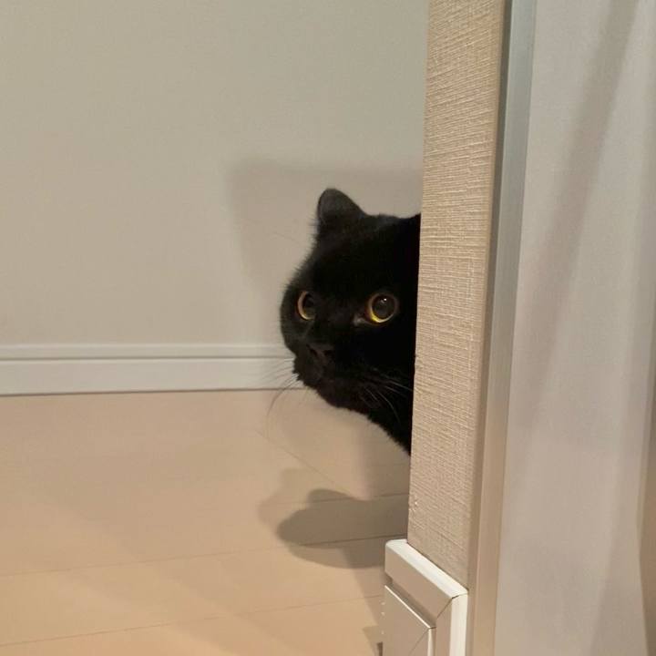 D874257d 9afb 43bd 9869 fb7c5e3751fb 1766754557935