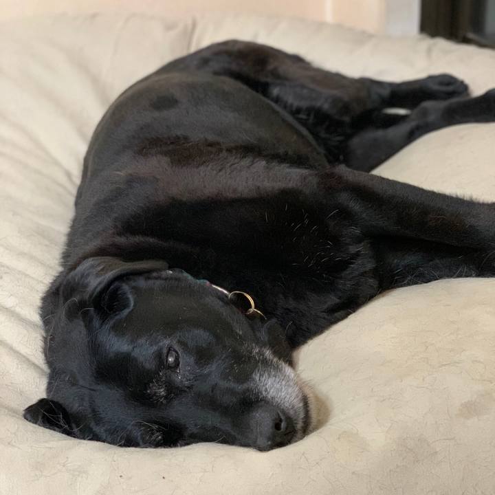 D8747071 68a2 4d72 a6e8 131dd591cbd3 1574418654766