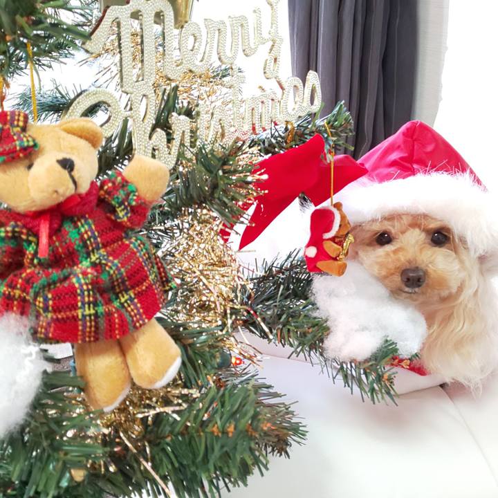 D874827e 17cf 4e88 9f4d a402f9758c50 1577233853016