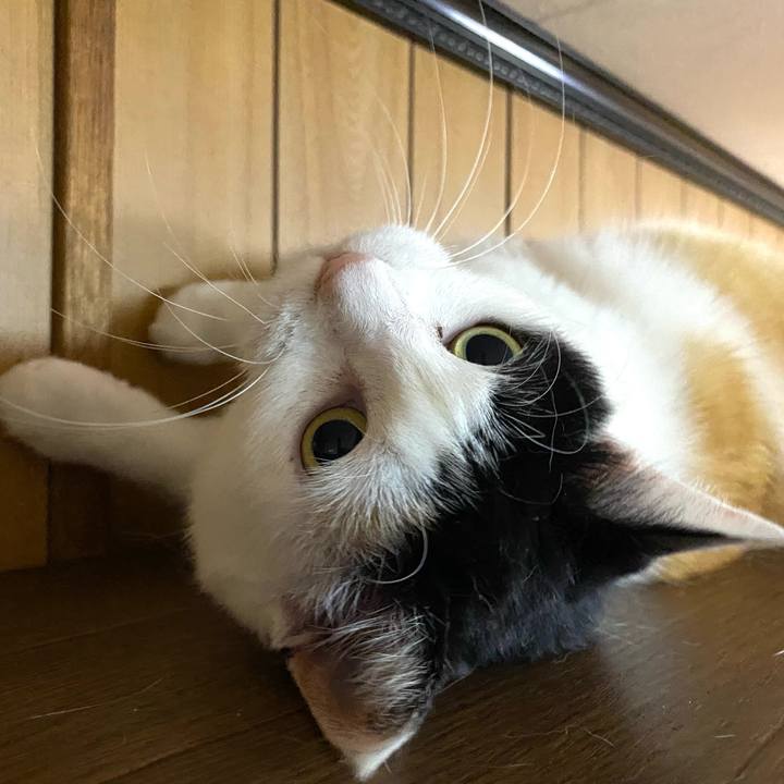 D874aaa5 1207 4226 b408 b880050c108f 1652193416717