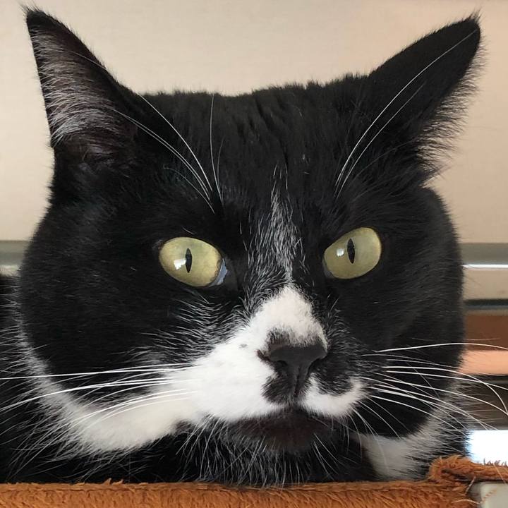 D8750e89 b0cb 4b3c 8d78 989bfb70a8b3 1582953983176