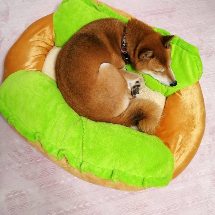 D87528fa 0b67 42e7 a8e1 81d43e4775bc 1666683196233