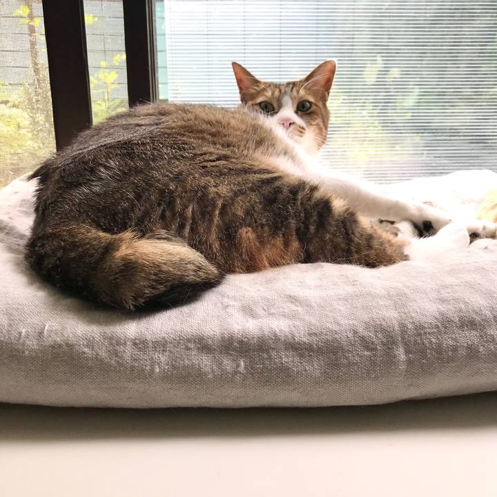 D87555d2 d6fe 461f baf0 217f4d40d6a1 1593759186412