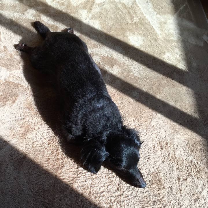 D8756740 4b52 41c5 9aa4 e7572f69d0d3 1524092237755