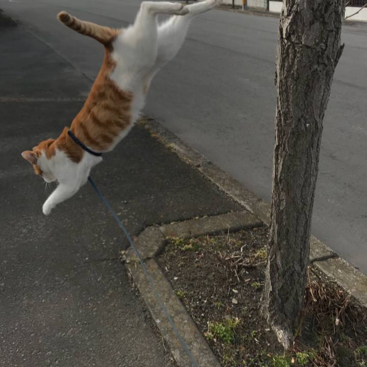 D8758af2 97ae 4e3e 8c58 235ee75c38a6 1516423345502