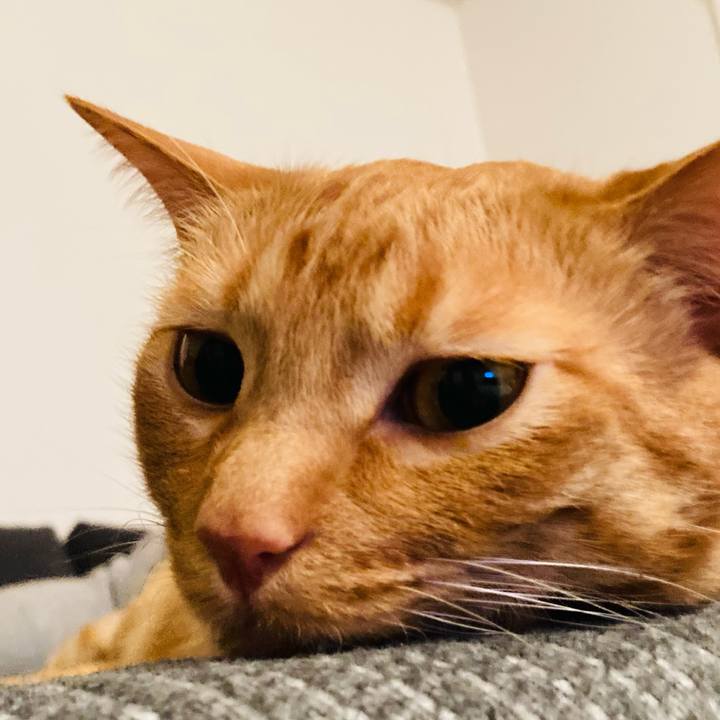 D875a198 56f3 4ec5 8ead 3855520fd37d 1617105594753