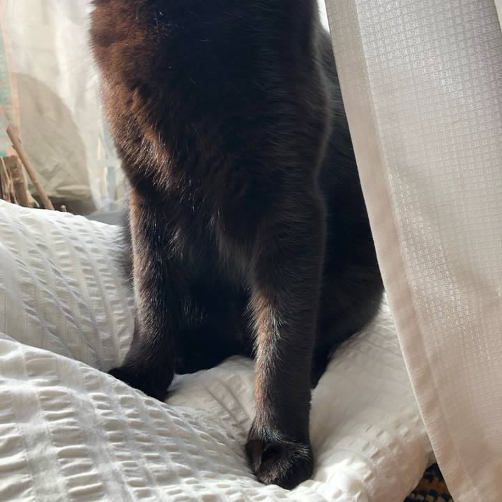 D875a947 3f52 4597 ae2f adda91a5651d 1548474574820