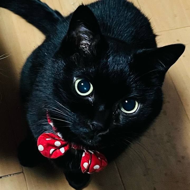 D875b57e 4f5d 403c ae8b 30a30b7d64f7 1764968566557