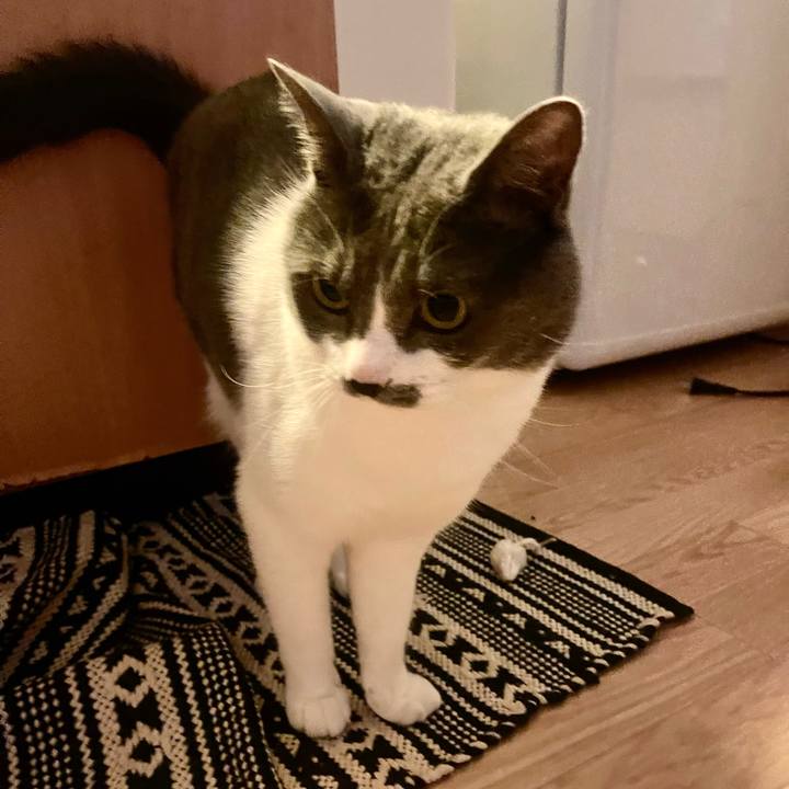 D875d0b2 c49a 4c69 adc6 959c96b7f491 1652223329243