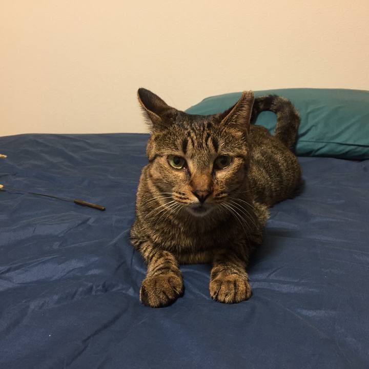 D875edf0 22b8 4f4a 9c17 69bb3db50ab9 1519391746767