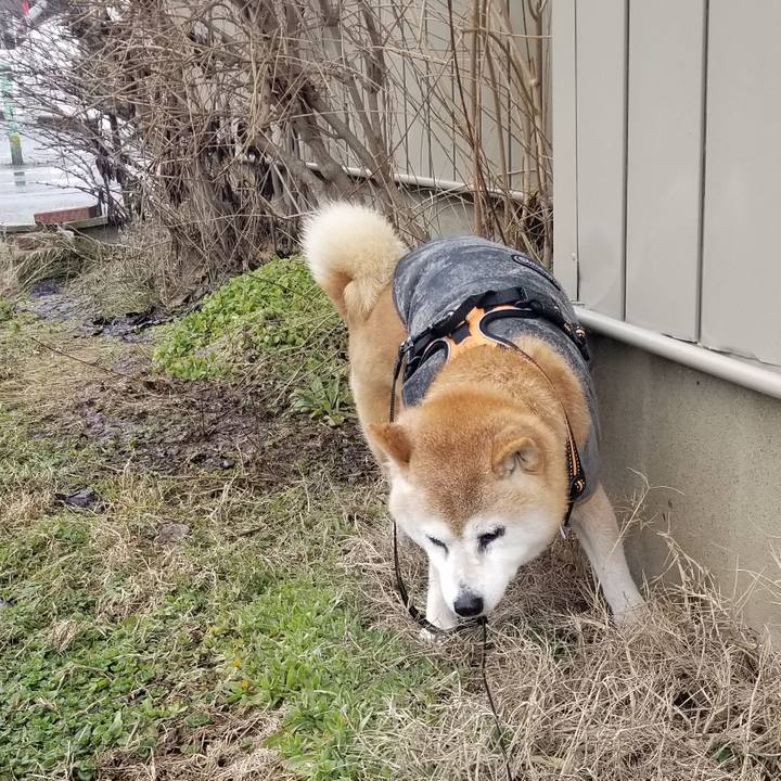 D875f9a5 0539 4905 9330 d5736488a730 1741231212717