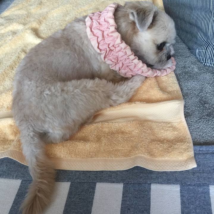 D8761f25 5419 461c 8186 212102f1366a 1533039308675