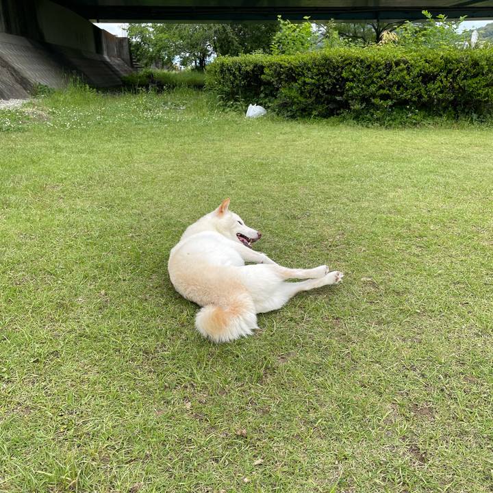 D8763ccd 4a8e 4d18 960c 21600026a8a0 1652705332467