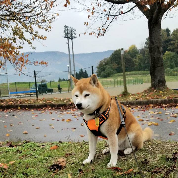 D8764554 9da7 452d a972 45ae423e642d 1604730268863