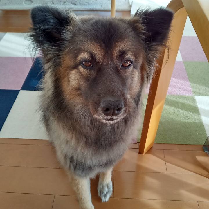 D876766a 77f6 48df a493 1482e44f5857 1765068421166