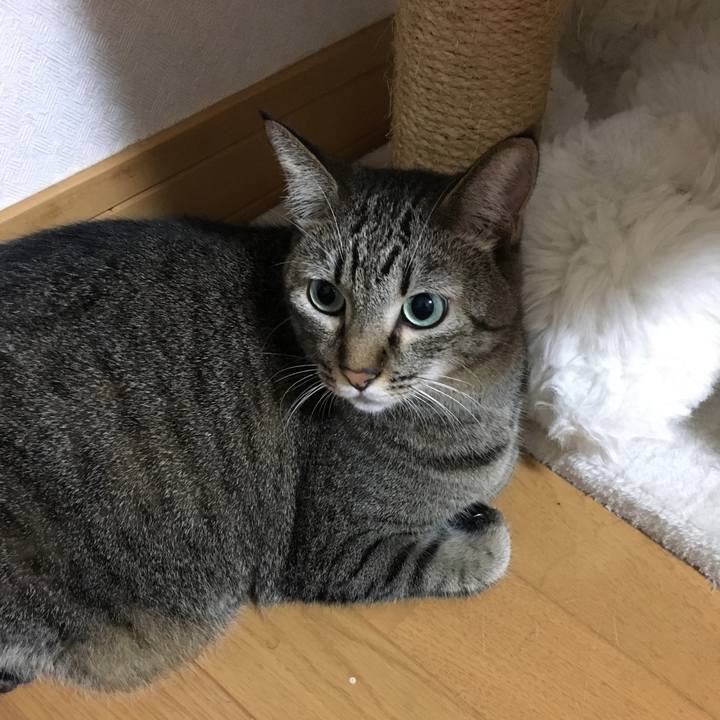 D8769c79 a95f 4e67 a1da dd806b368b12 1537576483636