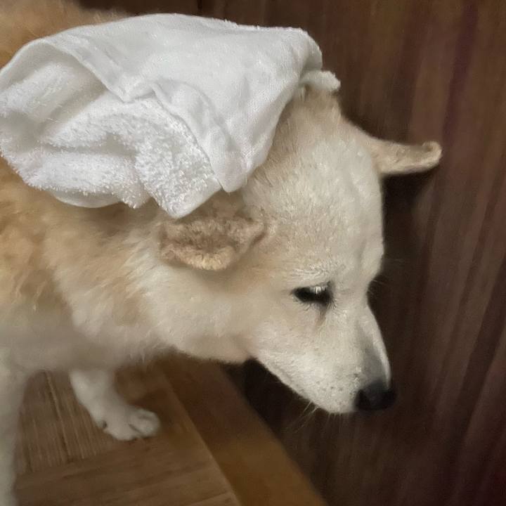 D876b9ce f2c7 433d a965 729918bb27f5 1668907901804