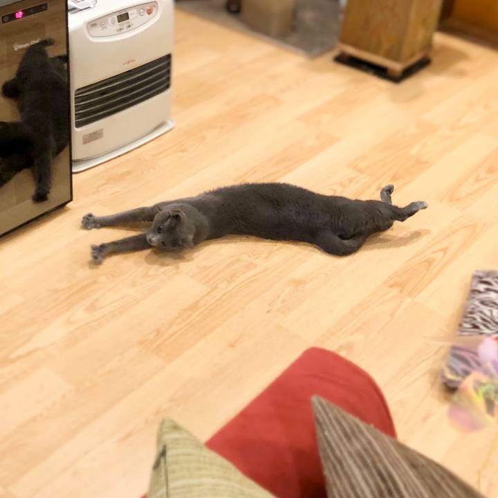 D876c712 af0d 4d35 b4aa 2aed410eae5f 1585525023544