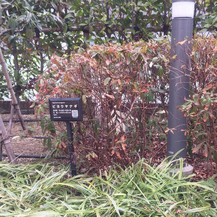 D876eb19 fc10 41fc b185 10f5b339d099 1518326593559