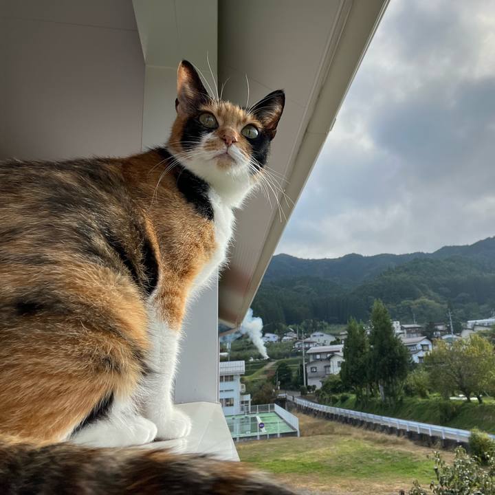 D876f5ef 45d2 4a9d 90c1 3fb8810be889 1665901168059