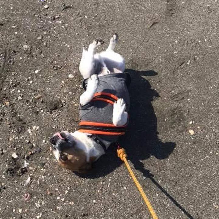 D876faae d2dd 4a19 9387 4aa3cb5a5b66 1650541136595