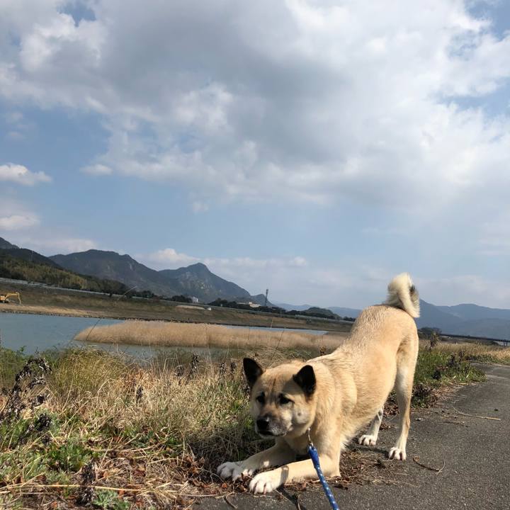 D8772233 aa06 40a4 b196 9ca99901d6b1 1584271729044