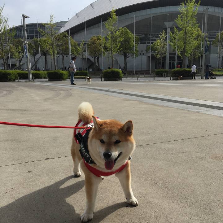 D87757de b77e 4462 94e3 1360936eb220 1556873196505