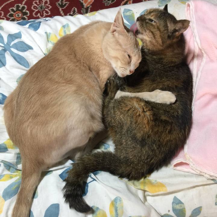 D8776713 f31a 45df bc97 536f9fdafb9b 1657234853264