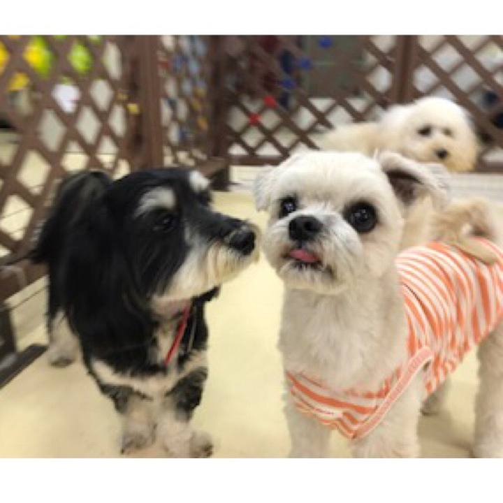 D8777e53 984d 4f89 9114 27a7a4b61d61 1523362817732