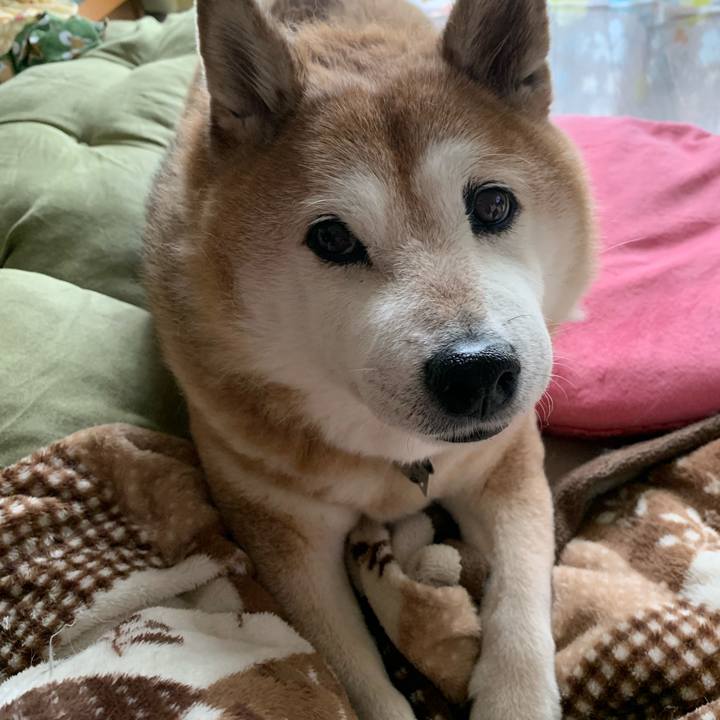 D877ad02 4843 4d95 8c33 877c6d6b29f7 1571707113238