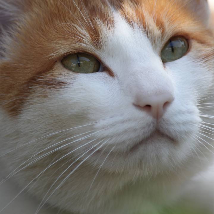 D87819a6 e2cf 4cc9 b956 aac19289a913 1528540948537