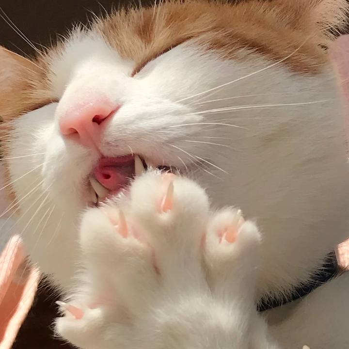 D87828fc 38da 46e9 ade8 5d8852dc4d0e 1517548155613