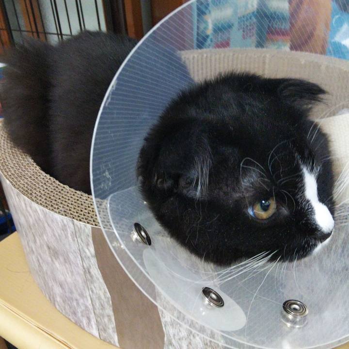 D8783045 fb3a 47c6 91ea 559530833e19 1645264858848