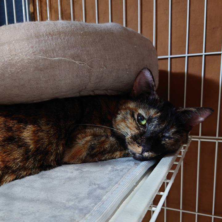 D8783bcd c6f6 45ae a8a9 71f84881ff3d 1668084717217