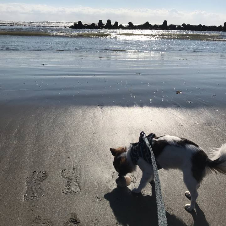 D878847c f392 4559 af0b ed1a715e5042 1540092126618