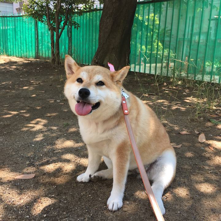 D87885e3 42a3 4263 b5e8 77b902962f43 1560395059058