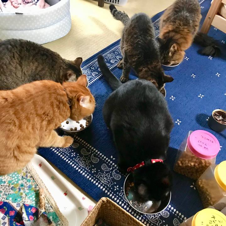 D8788e59 c54e 4ef7 8cc6 7d25e61bf888 1508027532546