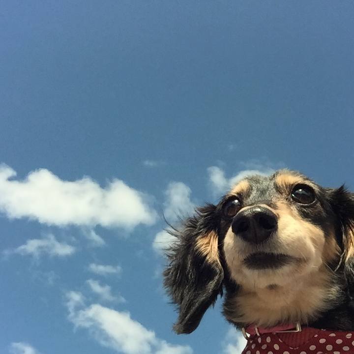 D878aa73 d8a5 4326 a1c5 5c3683620106 1525913670448