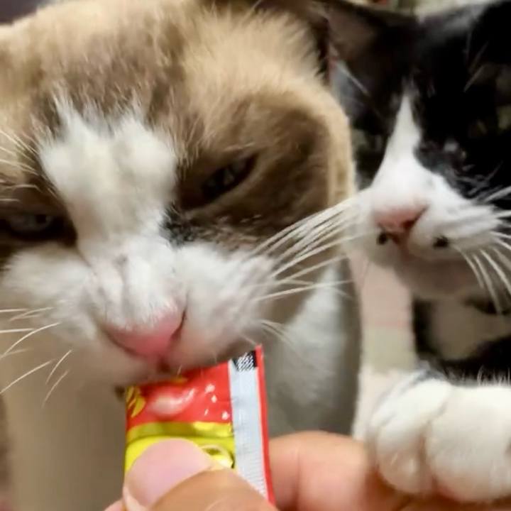 D878b8d1 7965 420c ad0d d94e51600eeb 1727949316969