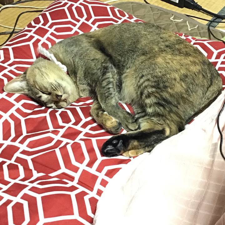 D878d0b2 94ad 4656 b58a a2433cf7f6ad 1609664966912