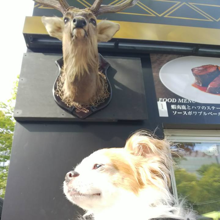 D878ecdd 94a1 4a8a b5aa c542f0cc0ff6 1536992268205