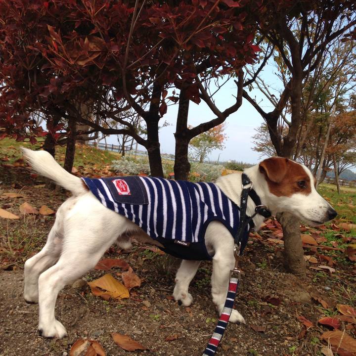 D878f48b 4453 48e3 87a0 3ba4ae3c14c8 1510124685928