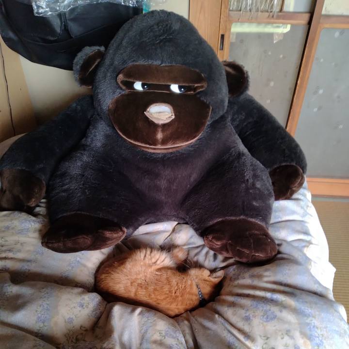 D879522c 847d 4ae4 ab29 a2097aada636 1666999805864