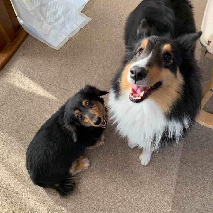 D879a90a 29c8 491a 88ba ad73188f1758 1576886790704