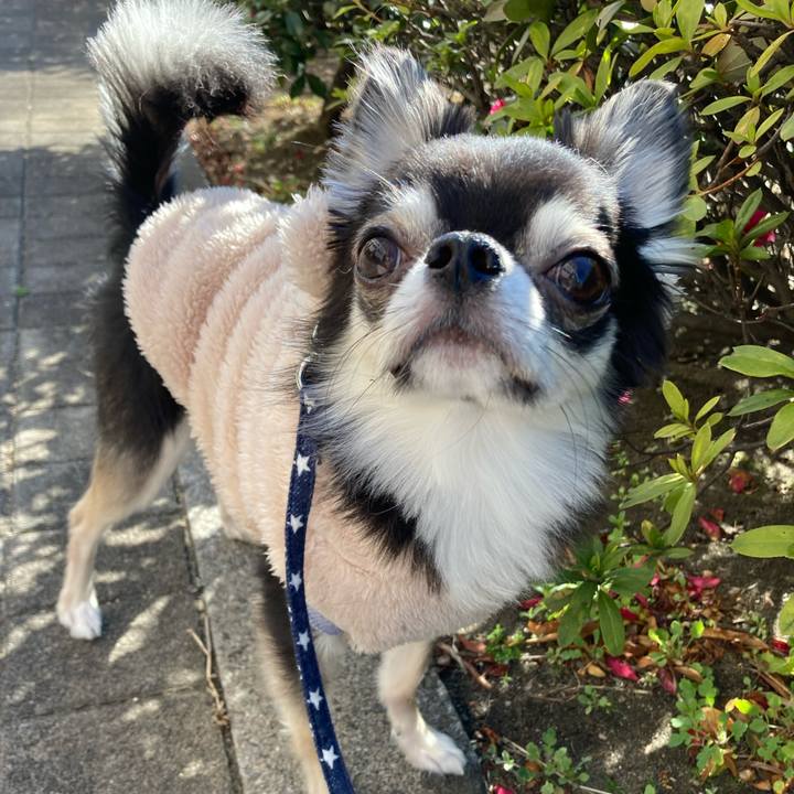 D879e0ce eee4 44dc a273 23fd71328ed2 1645849031084