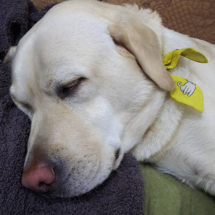 D879e52d b597 45b4 8b2b 95d67266cacd 1543222524614