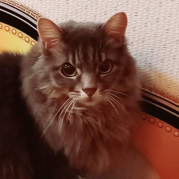 D87a0bbb a9be 4bc4 905a 75cfd048022b 1638091969049