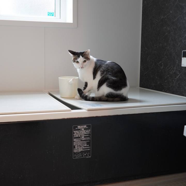 D87a2ac2 f37a 4a55 8092 52378692b578 1605272678066