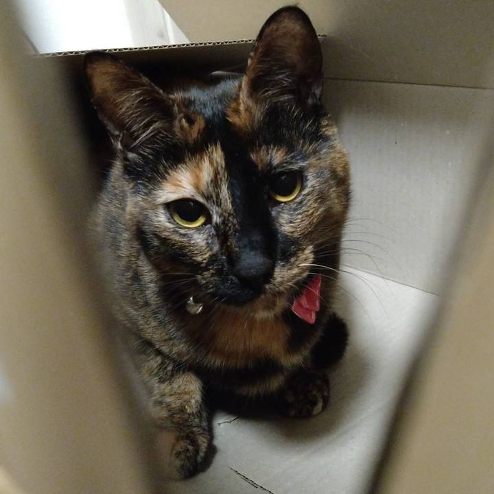 D87a63e5 4652 498f 87fb 2fc538419a47 1607947245802